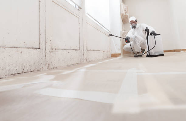 24/7 Emergency Attic Mold Remediation experts in Marshall, TX