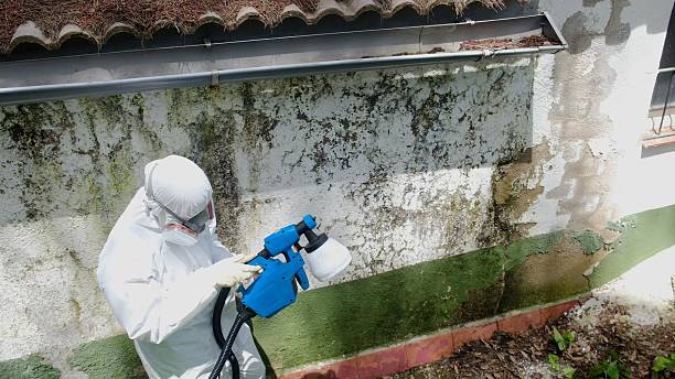Top rated local Attic Mold Remediation specialists in Marshall, TX